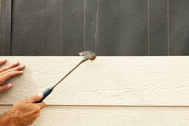 Best Wood Siding Installation  in Ainsworth, NE